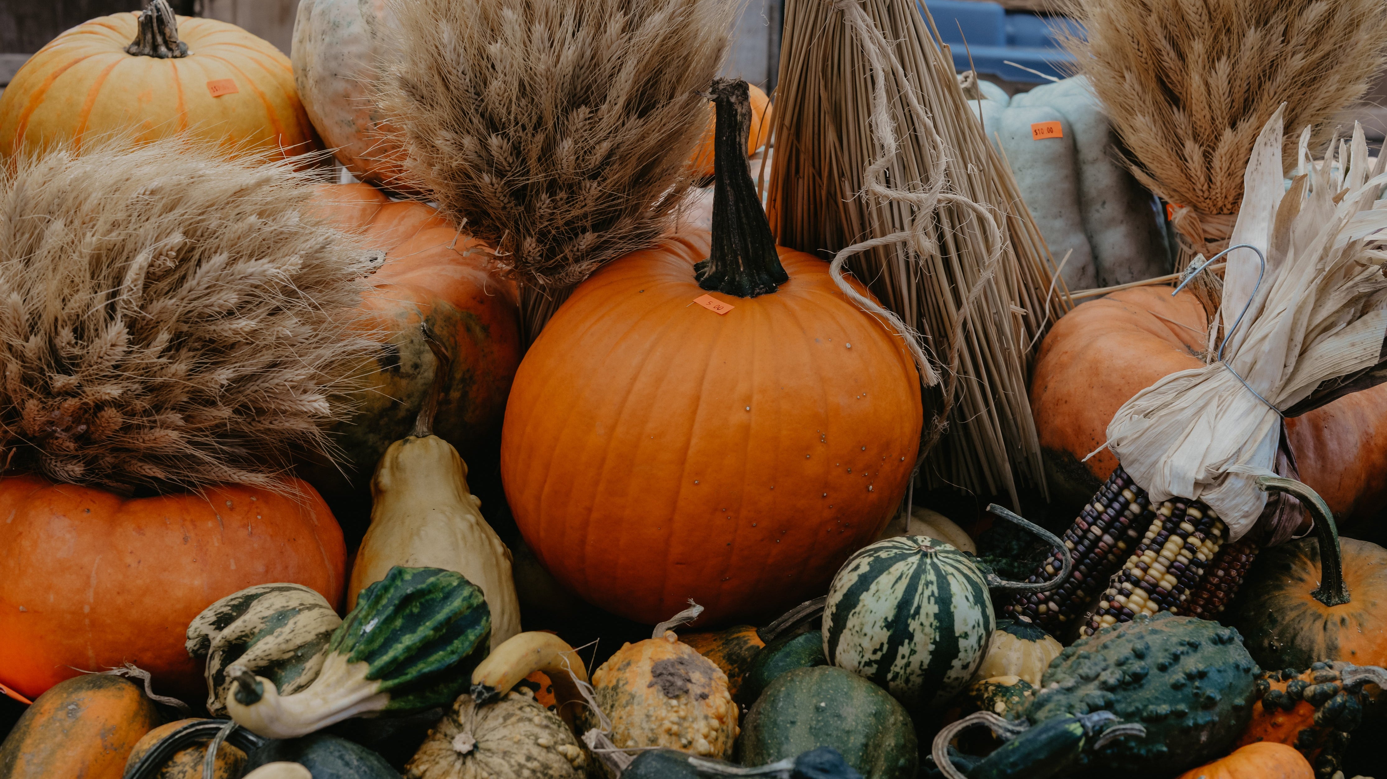 Autumn Interior Design Update!