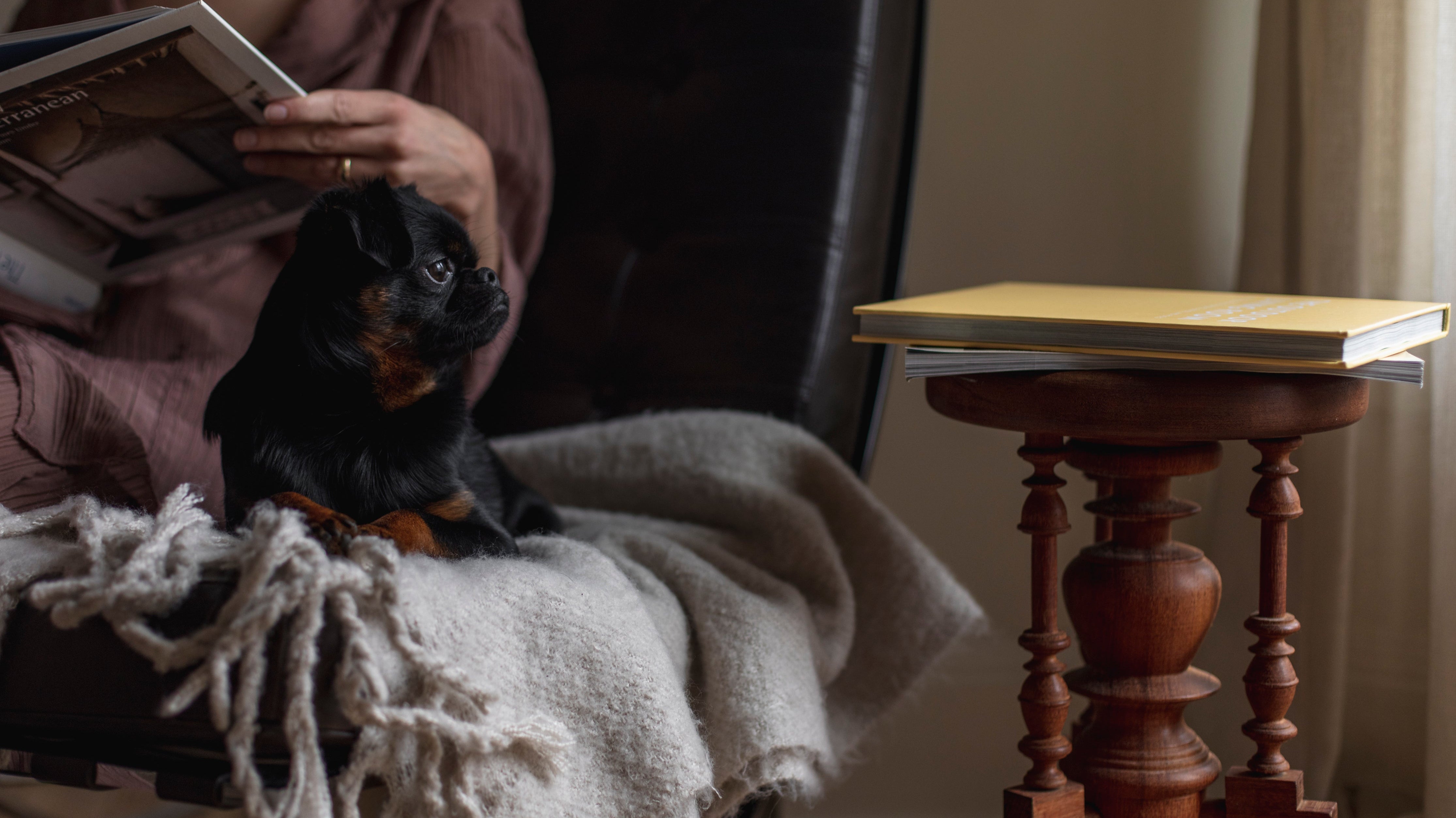 Create a Cozy Reading Nook