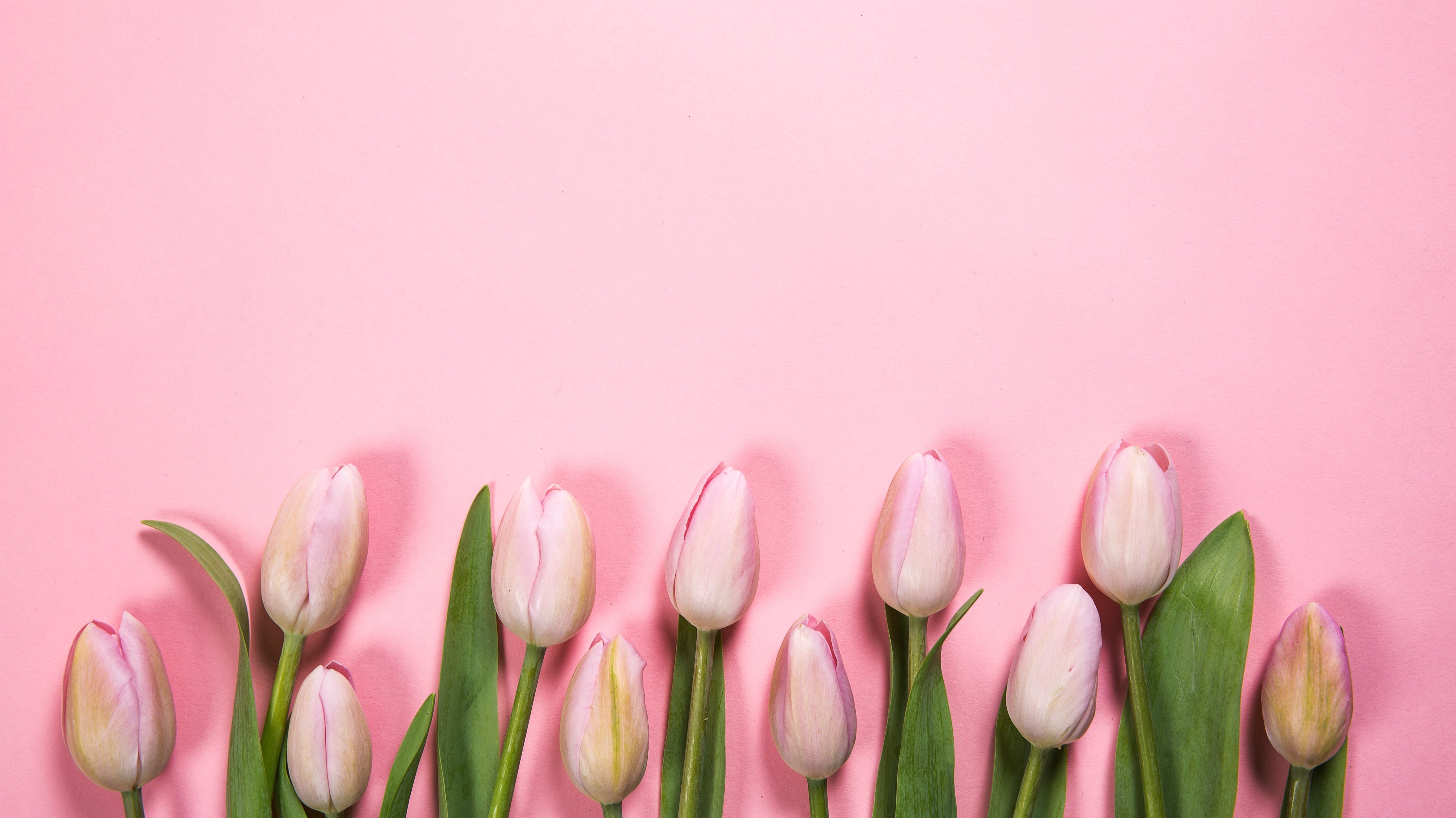 A Spring Refresh For Your Interior Design