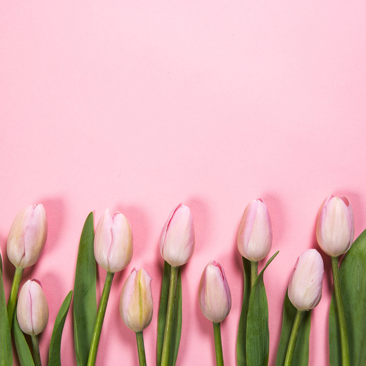 A Spring Refresh For Your Interior Design – True Treasures Inc