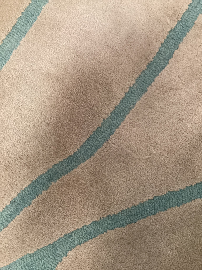 Blue and Tan Area Rug